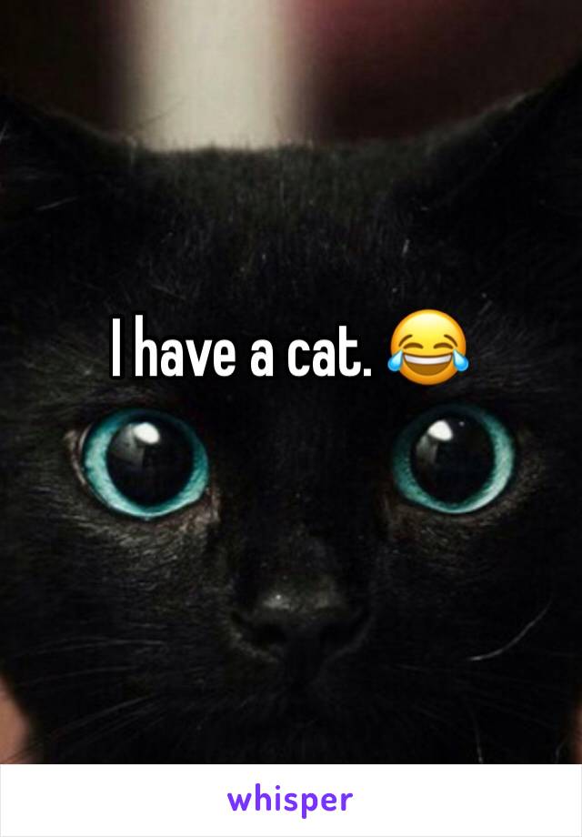 I have a cat. 😂