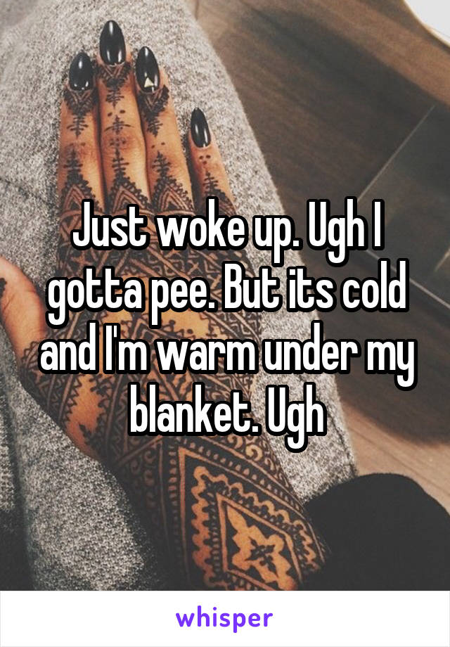 Just woke up. Ugh I gotta pee. But its cold and I'm warm under my blanket. Ugh