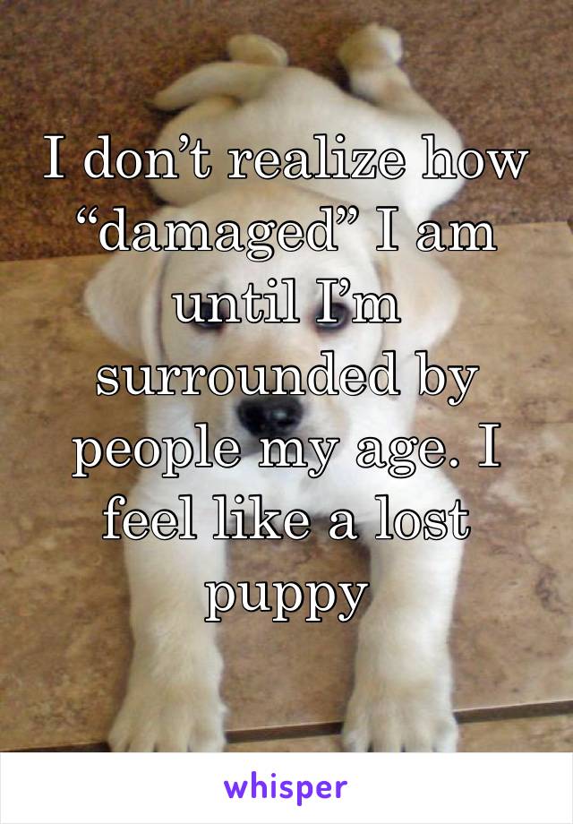 I don’t realize how “damaged” I am until I’m surrounded by people my age. I feel like a lost puppy