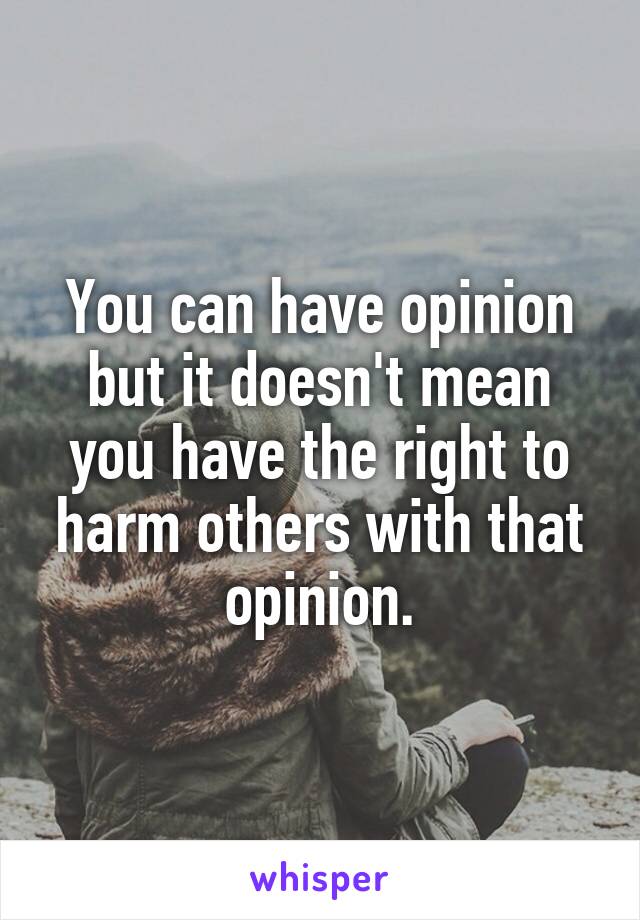 You can have opinion but it doesn't mean you have the right to harm others with that opinion.