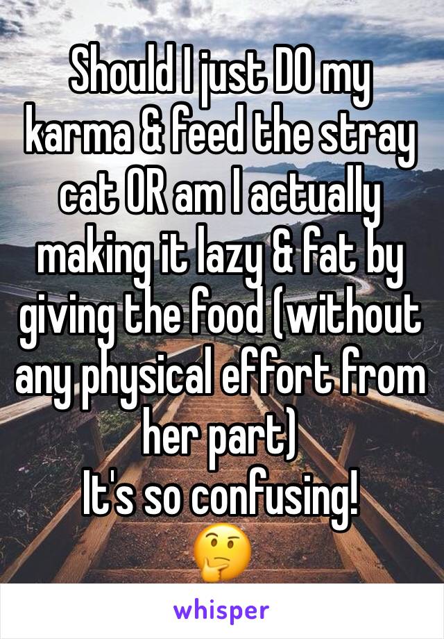 Should I just DO my karma & feed the stray cat OR am I actually making it lazy & fat by giving the food (without any physical effort from  her part)
It's so confusing!
🤔