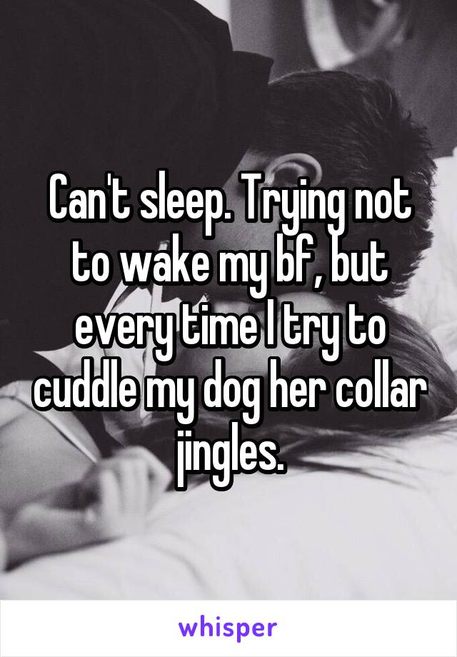 Can't sleep. Trying not to wake my bf, but every time I try to cuddle my dog her collar jingles.