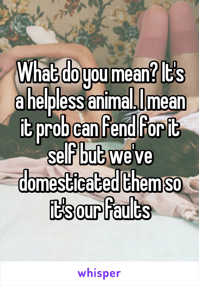 What do you mean? It's a helpless animal. I mean it prob can fend for it self but we've domesticated them so it's our faults