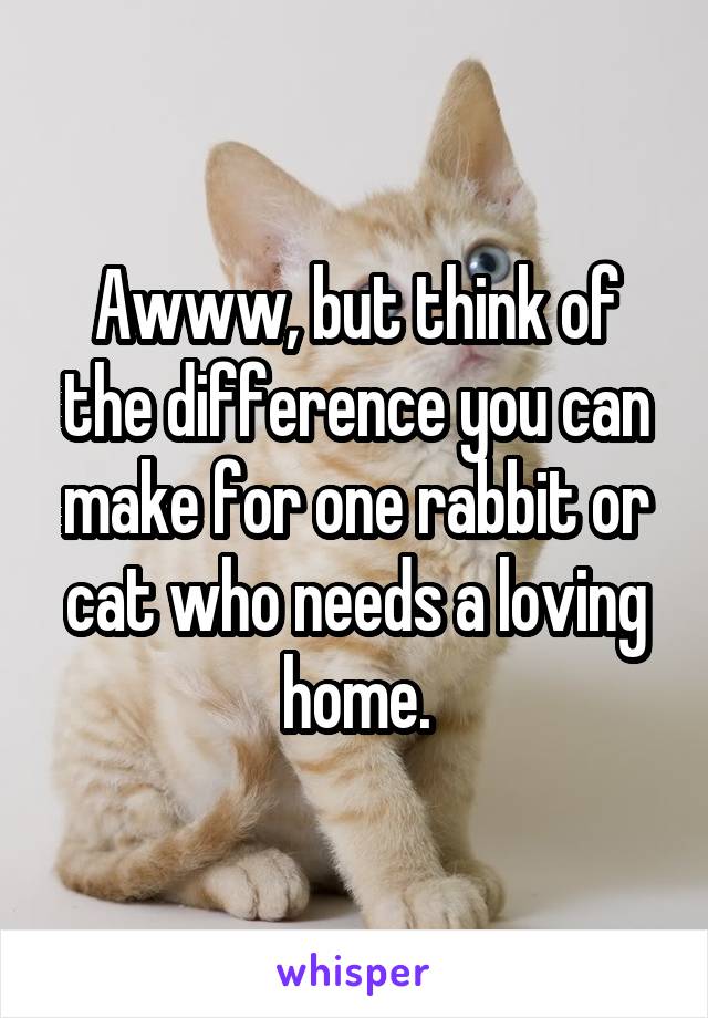 Awww, but think of the difference you can make for one rabbit or cat who needs a loving home.