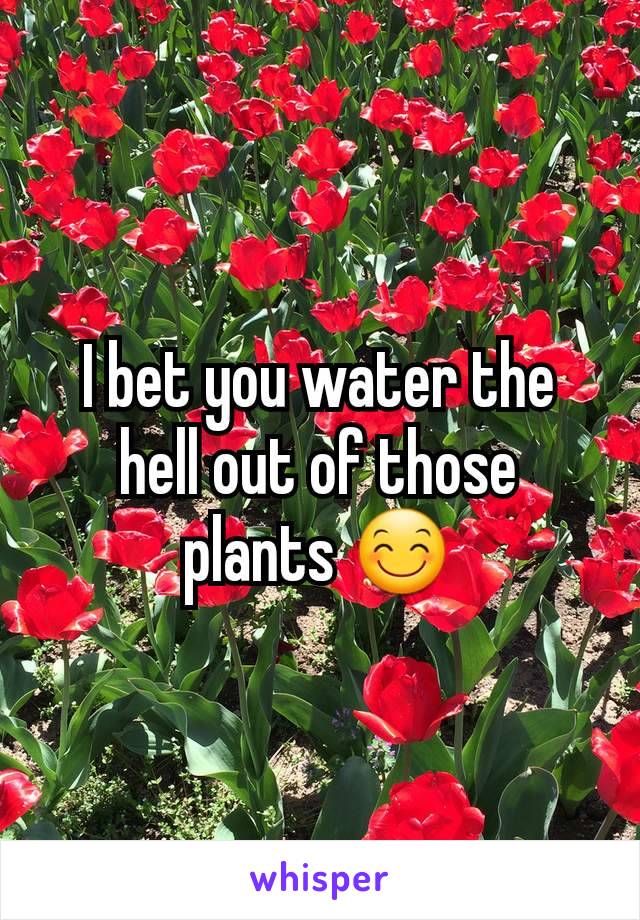I bet you water the hell out of those plants 😊