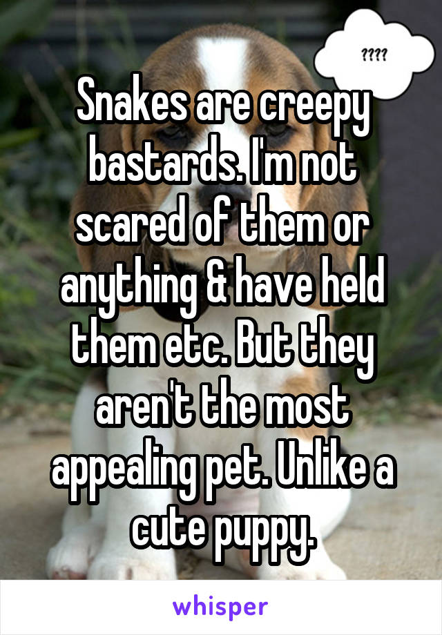 Snakes are creepy bastards. I'm not scared of them or anything & have held them etc. But they aren't the most appealing pet. Unlike a cute puppy.