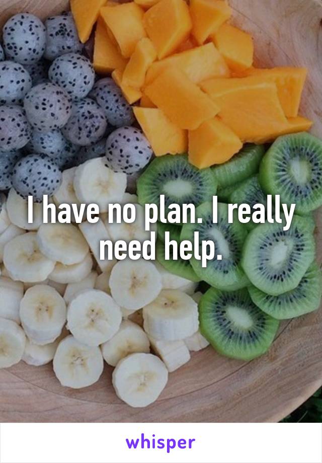 I have no plan. I really need help.