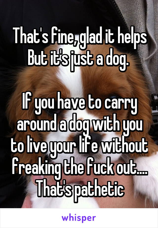 That's fine, glad it helps
But it's just a dog. 

If you have to carry around a dog with you to live your life without freaking the fuck out....
That's pathetic