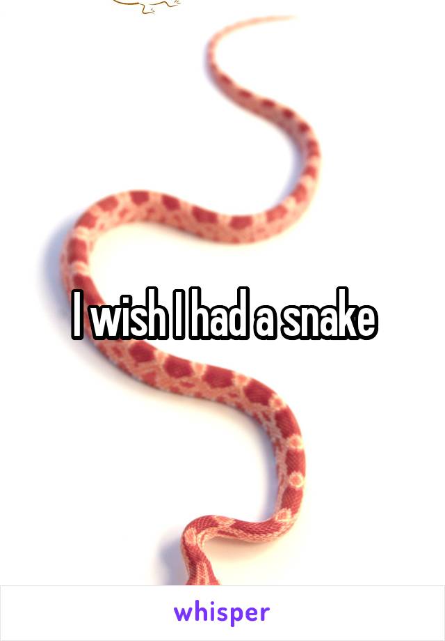 I wish I had a snake