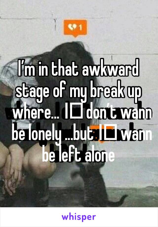 I’m in that awkward stage of my break up where... I️ don’t wanna be lonely ...but I️ wanna be left alone