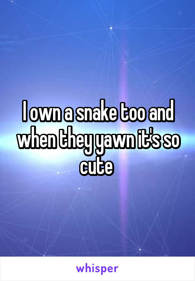 I own a snake too and when they yawn it's so cute 