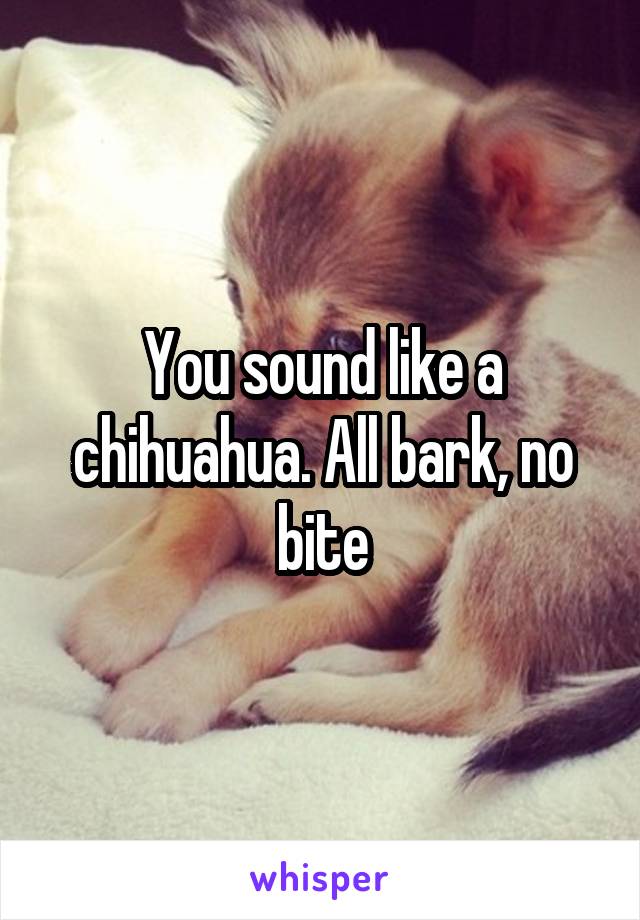 You sound like a chihuahua. All bark, no bite