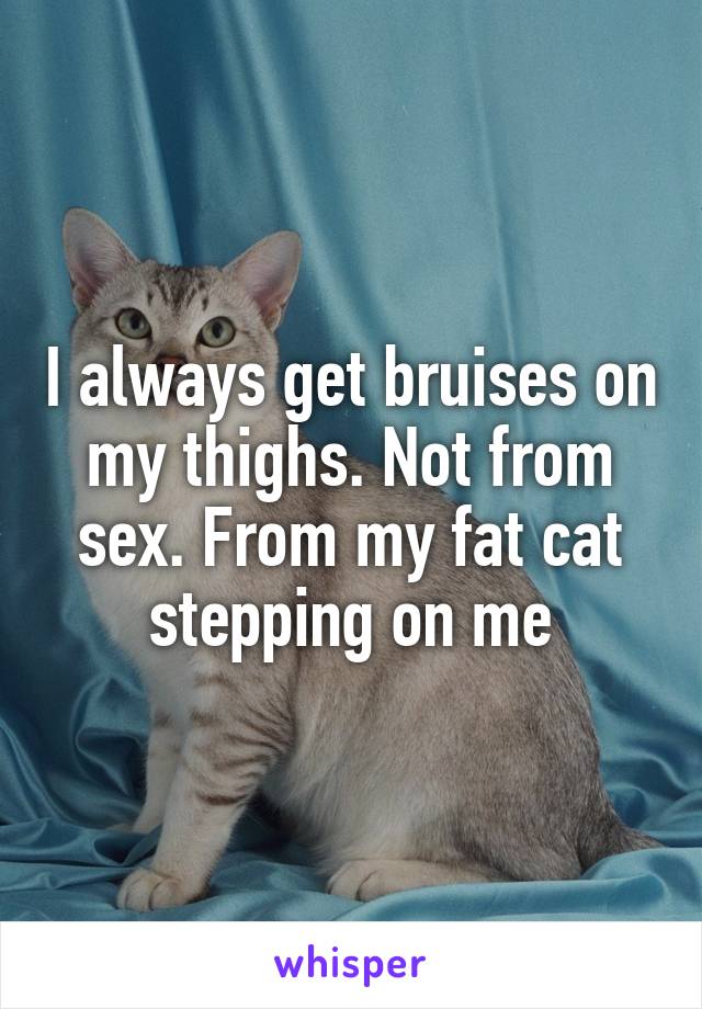 I always get bruises on my thighs. Not from sex. From my fat cat stepping on me