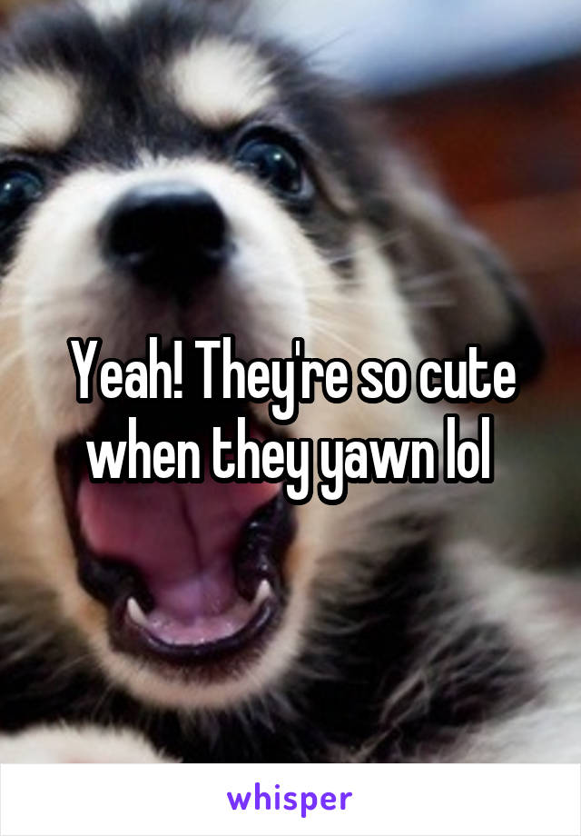 Yeah! They're so cute when they yawn lol 