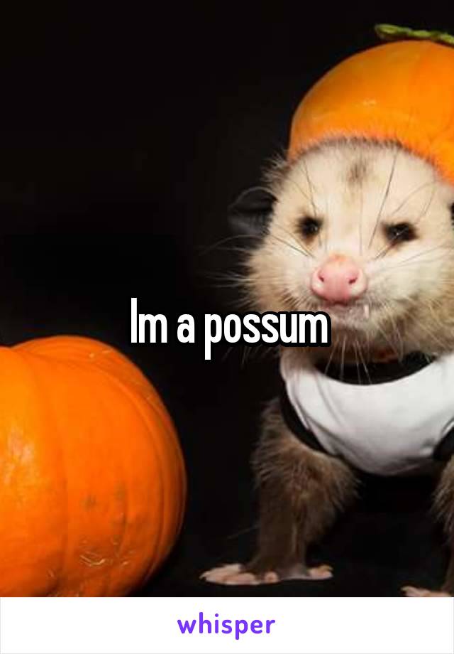Im a possum
