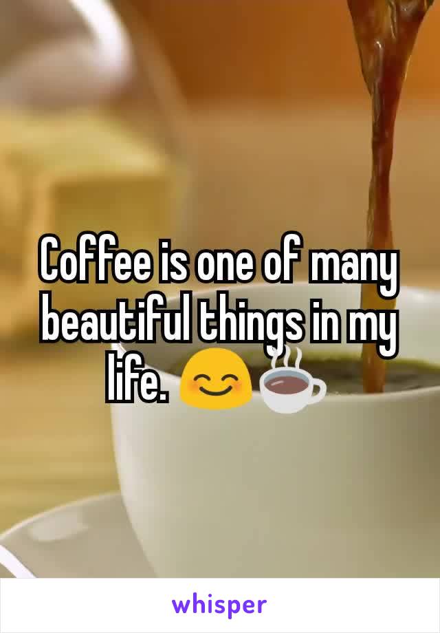Coffee is one of many beautiful things in my life. 😊☕