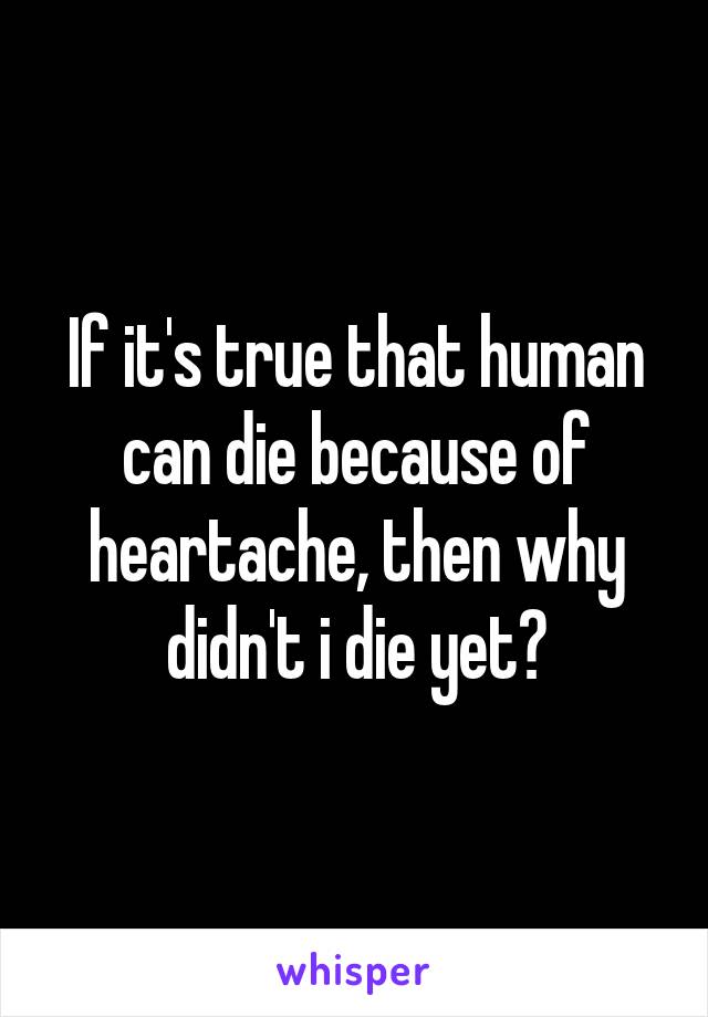 If it's true that human can die because of heartache, then why didn't i die yet?