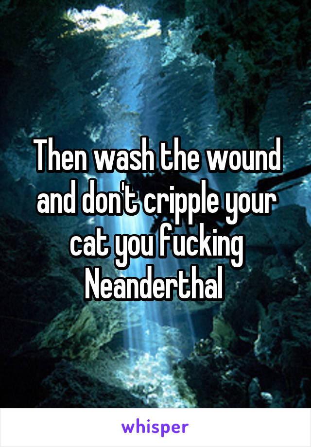 Then wash the wound and don't cripple your cat you fucking Neanderthal 