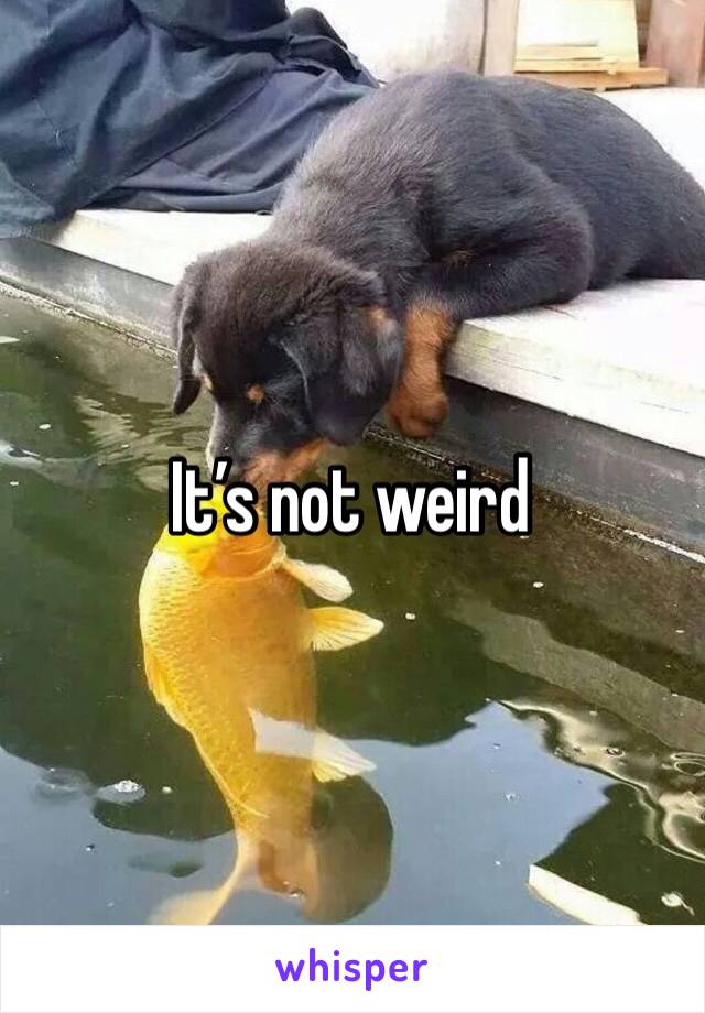 It’s not weird 