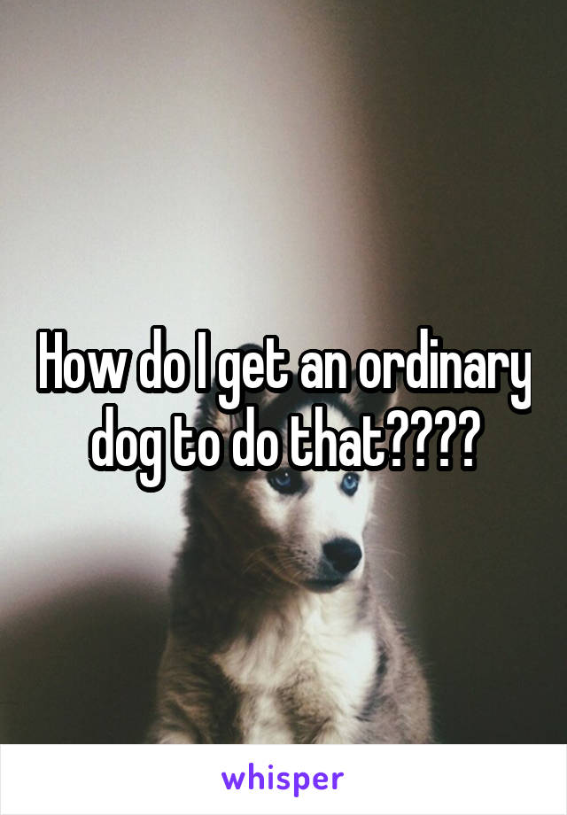 How do I get an ordinary dog to do that????