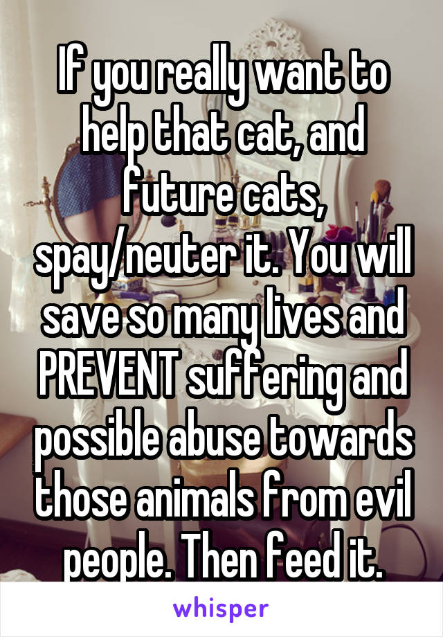 If you really want to help that cat, and future cats, spay/neuter it. You will save so many lives and PREVENT suffering and possible abuse towards those animals from evil people. Then feed it.
