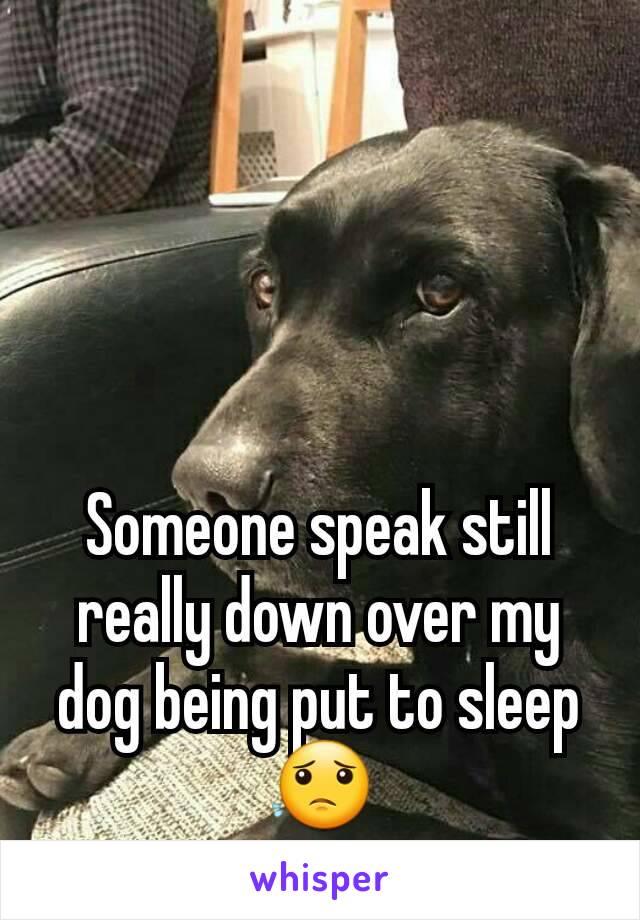 Someone speak still really down over my dog being put to sleep 😟