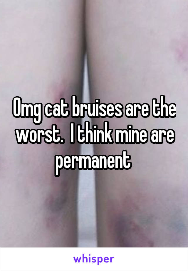 Omg cat bruises are the worst.  I think mine are permanent 
