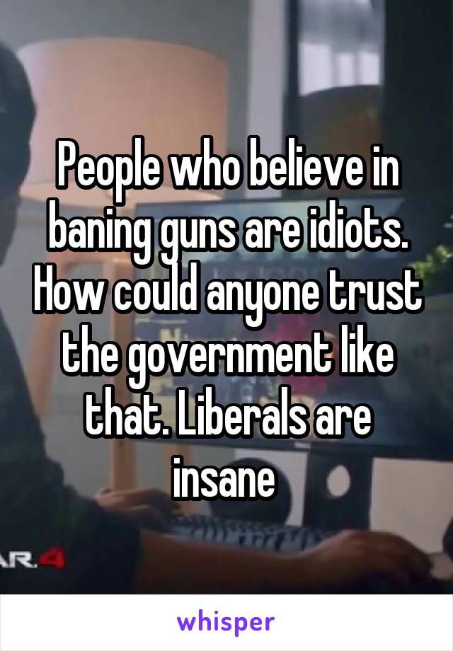 People who believe in baning guns are idiots. How could anyone trust the government like that. Liberals are insane 