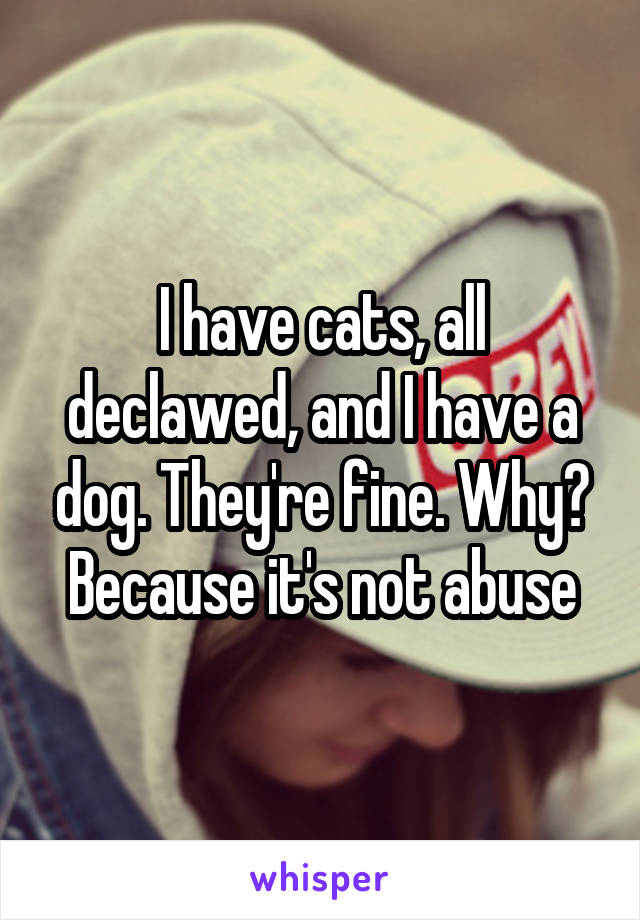 I have cats, all declawed, and I have a dog. They're fine. Why? Because it's not abuse
