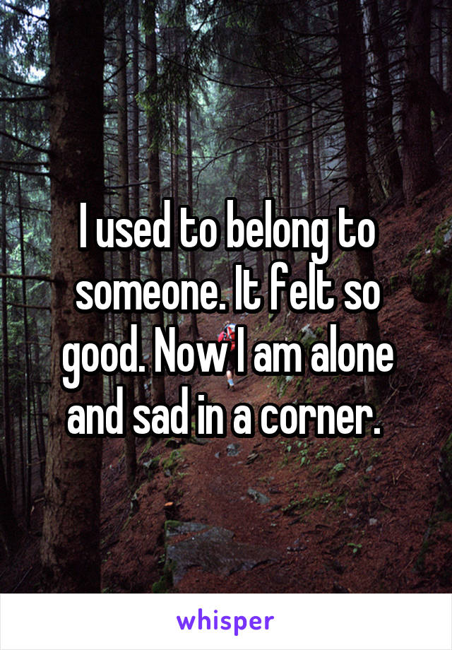 I used to belong to someone. It felt so good. Now I am alone and sad in a corner. 