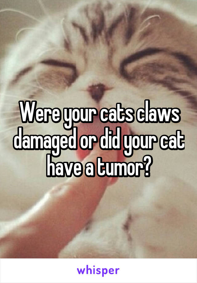 Were your cats claws damaged or did your cat have a tumor?