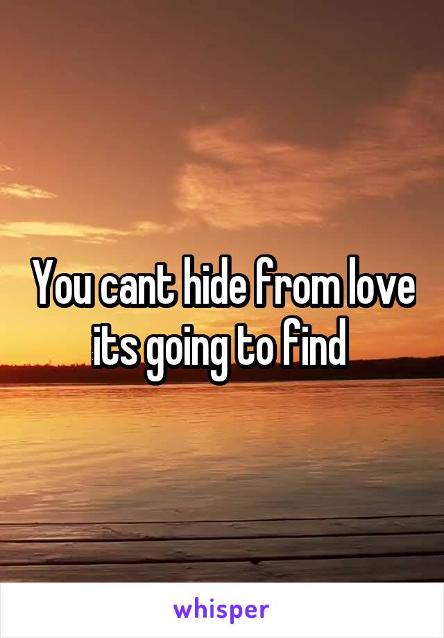 You cant hide from love its going to find 