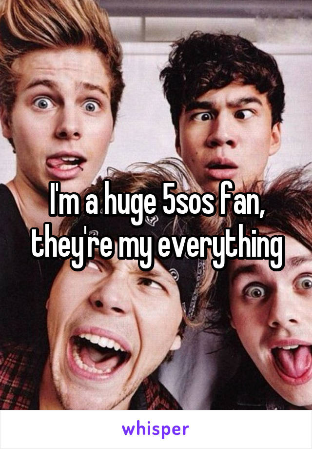I'm a huge 5sos fan, they're my everything