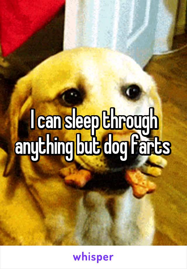 I can sleep through anything but dog farts 
