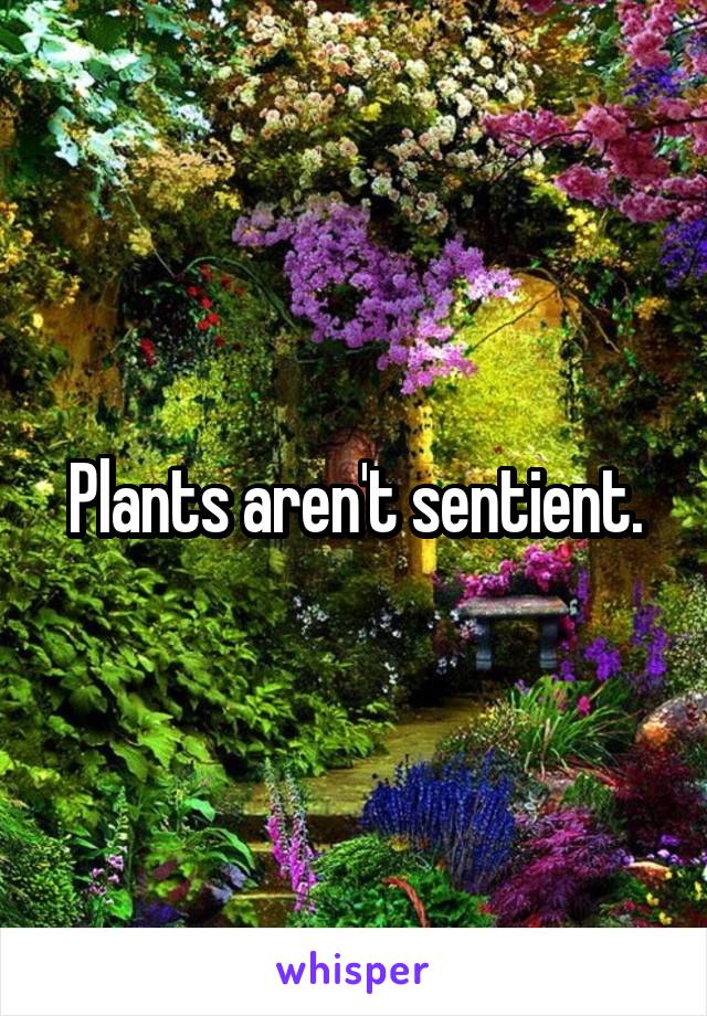 Plants aren't sentient.