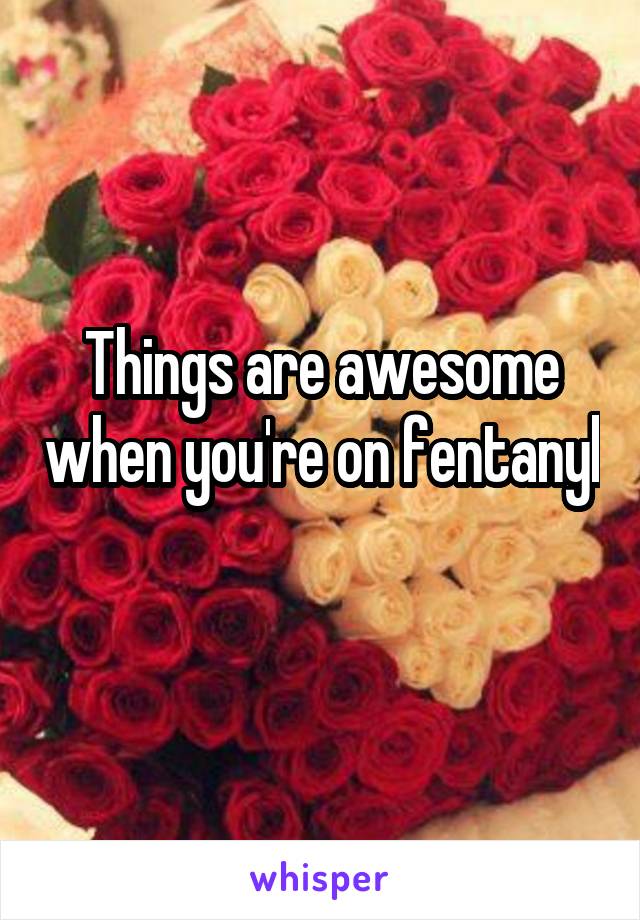 Things are awesome when you're on fentanyl 