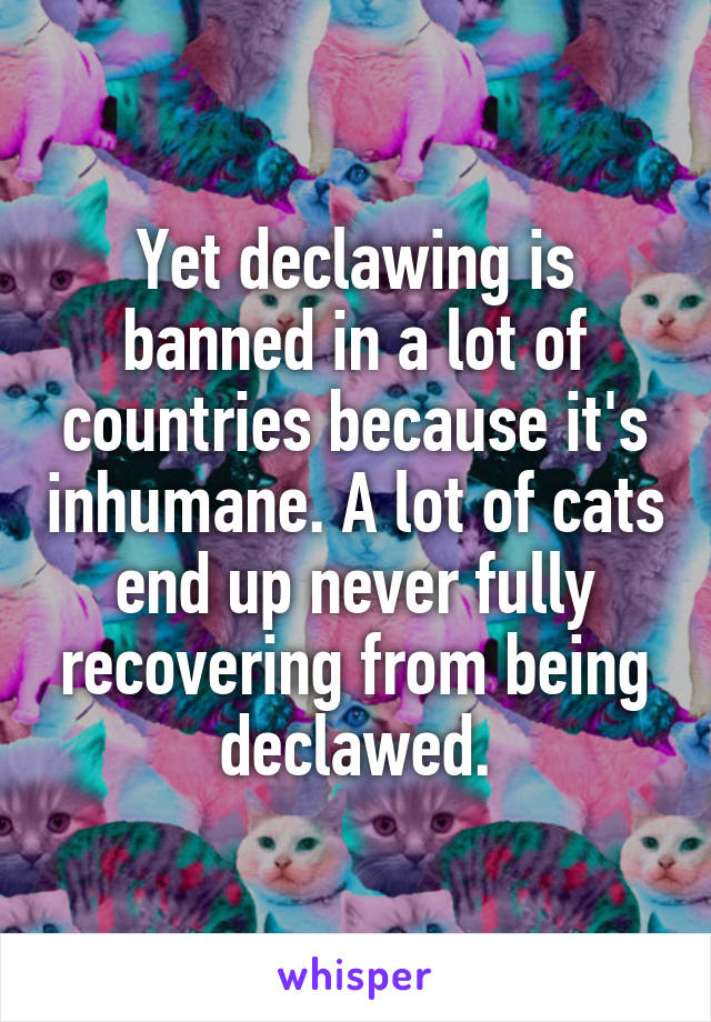 Yet declawing is banned in a lot of countries because it's inhumane. A lot of cats end up never fully recovering from being declawed.