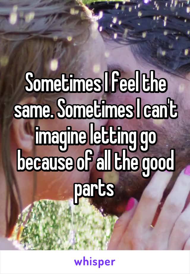 Sometimes I feel the same. Sometimes I can't imagine letting go because of all the good parts 