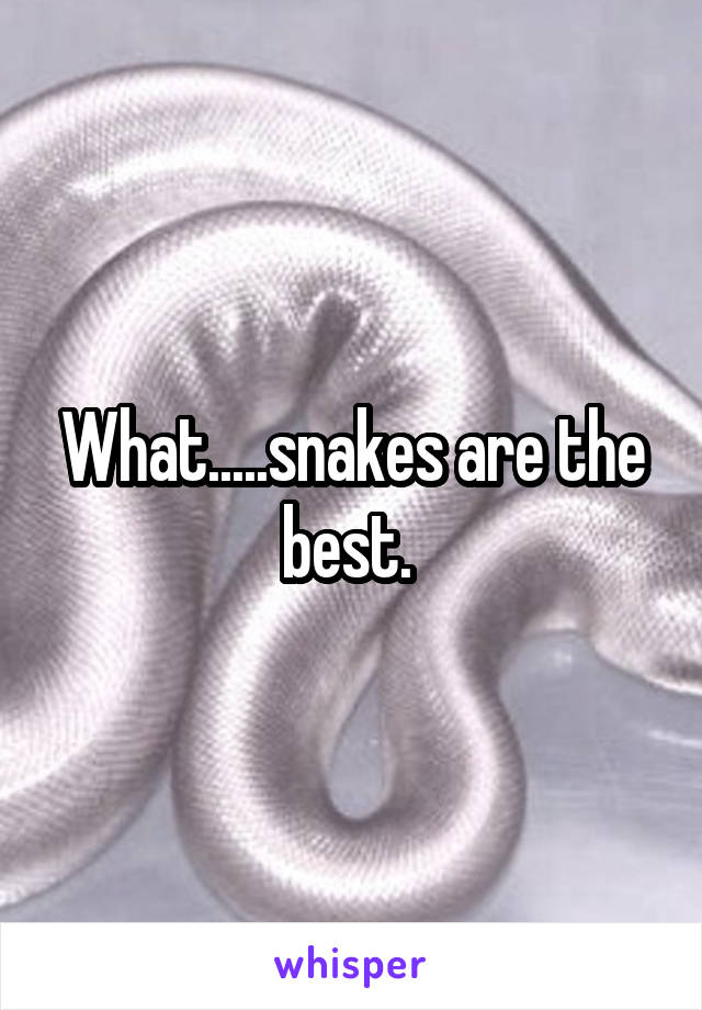 What.....snakes are the best. 