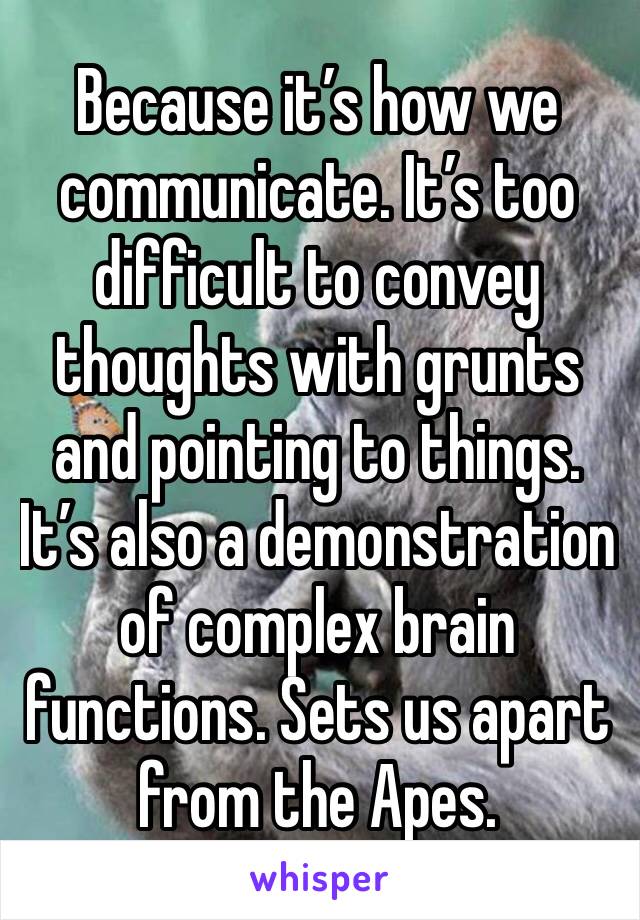 Because it’s how we communicate. It’s too difficult to convey thoughts with grunts and pointing to things. It’s also a demonstration of complex brain functions. Sets us apart from the Apes.