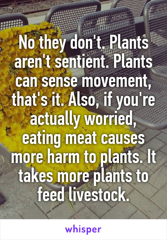No they don't. Plants aren't sentient. Plants can sense movement, that's it. Also, if you're actually worried, eating meat causes more harm to plants. It takes more plants to feed livestock.