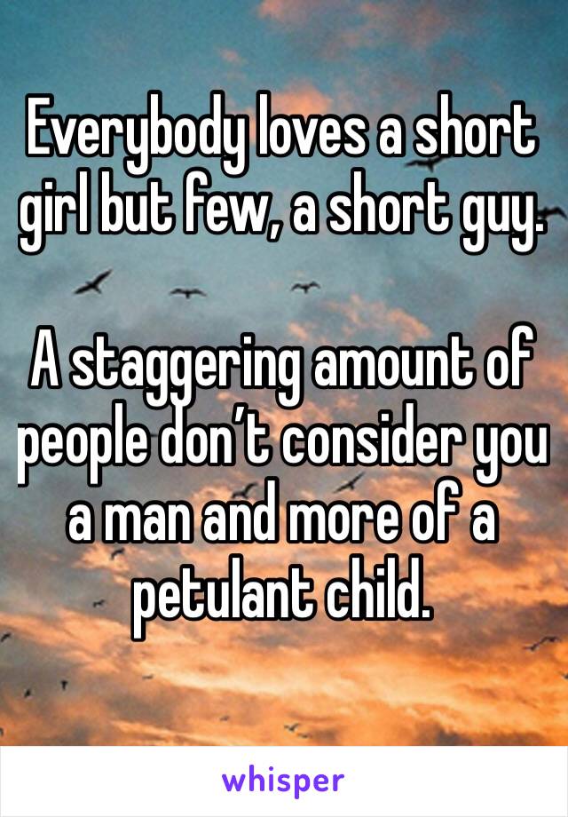 Everybody loves a short girl but few, a short guy. 

A staggering amount of people don’t consider you a man and more of a petulant child.