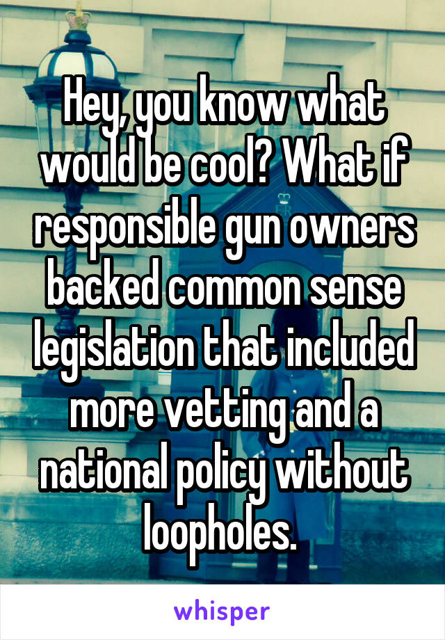 Hey, you know what would be cool? What if responsible gun owners backed common sense legislation that included more vetting and a national policy without loopholes. 