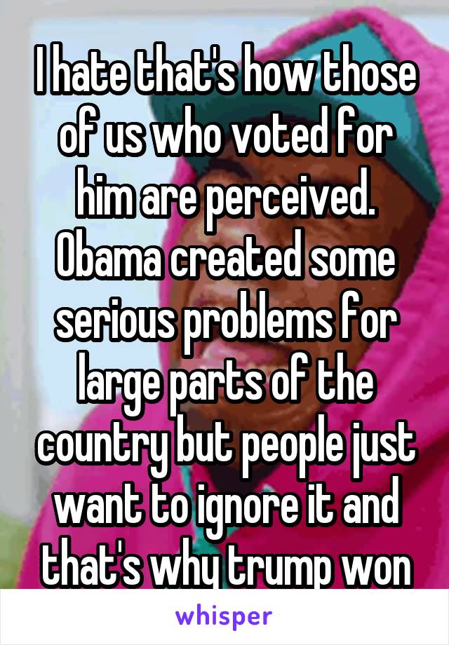 I hate that's how those of us who voted for him are perceived. Obama created some serious problems for large parts of the country but people just want to ignore it and that's why trump won