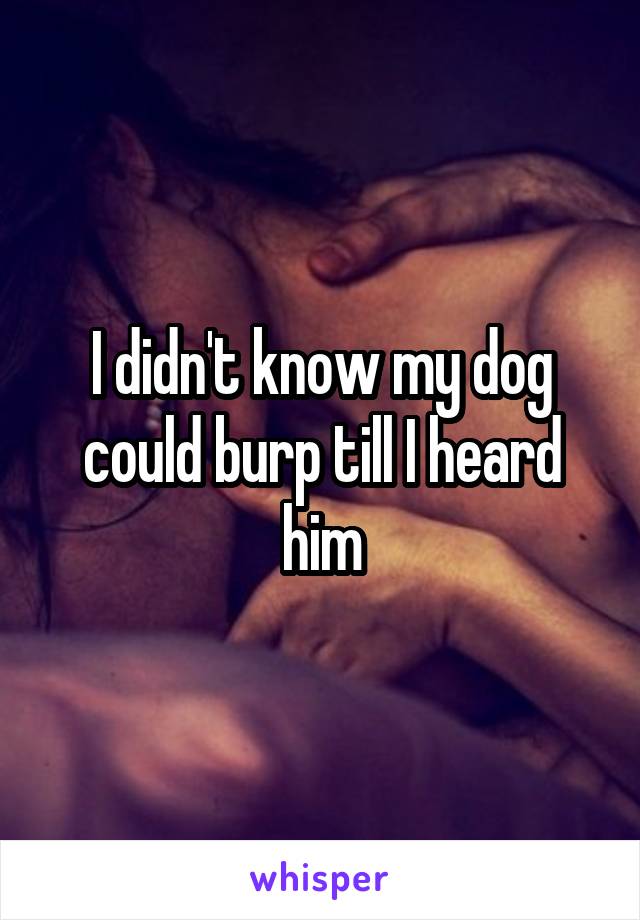 I didn't know my dog could burp till I heard him