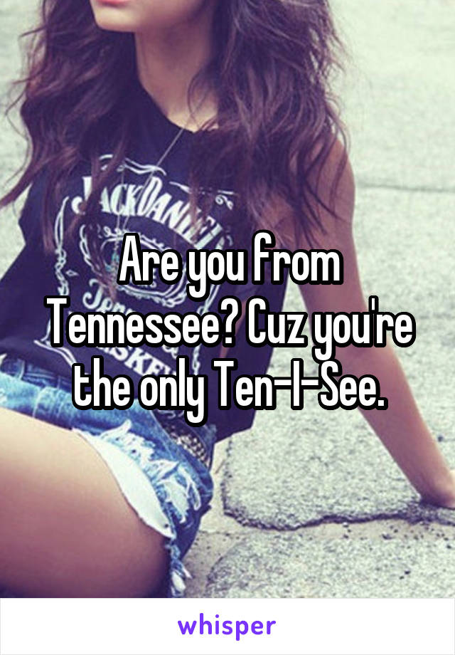 Are you from Tennessee? Cuz you're the only Ten-I-See.