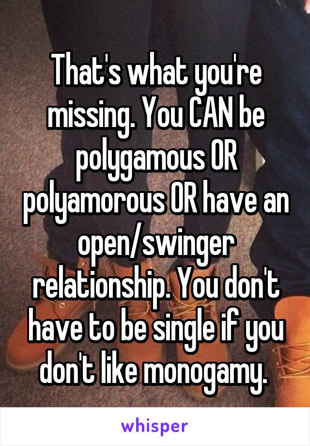 That's what you're missing. You CAN be polygamous OR polyamorous OR have an open/swinger relationship. You don't have to be single if you don't like monogamy. 