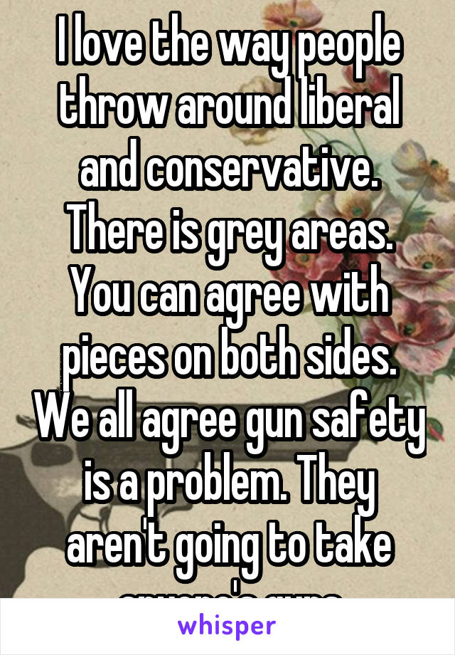 I love the way people throw around liberal and conservative. There is grey areas. You can agree with pieces on both sides. We all agree gun safety is a problem. They aren't going to take anyone's guns