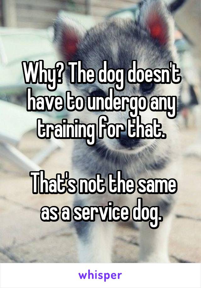 Why? The dog doesn't have to undergo any training for that.

 That's not the same as a service dog.