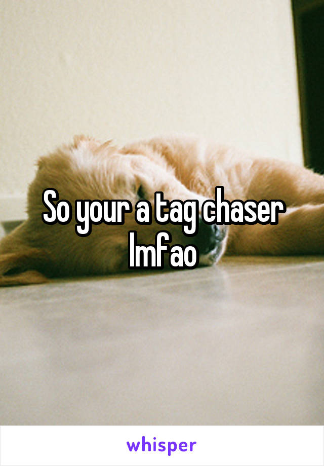 So your a tag chaser lmfao